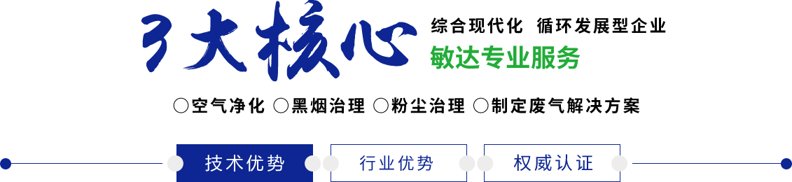 日黑毛骚逼网络敏达环保科技（嘉兴）有限公司